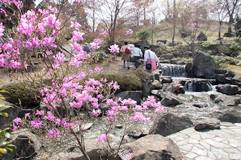 桜山公園の風景