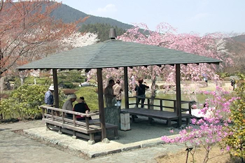 桜山公園の風景