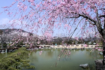 桜山公園の風景