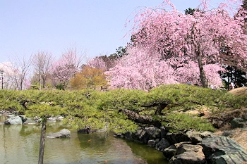 桜山公園の風景