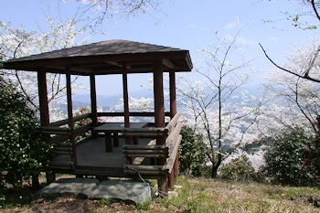 桜山公園の風景