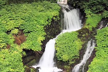 箱島湧水の画像