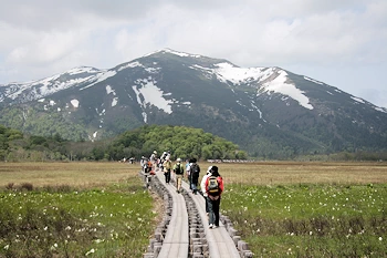 尾瀬国立公園の画像