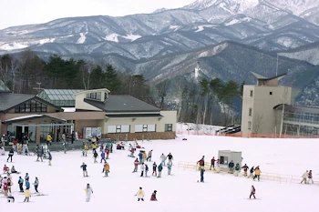 サエラスキー場の画像
