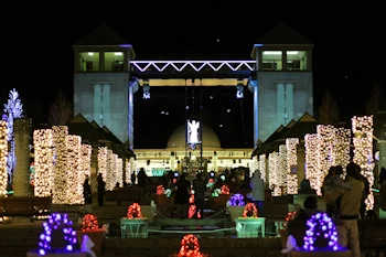 群馬フラワーパークの画像