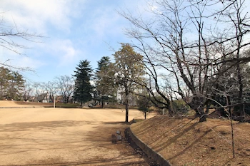 城之内公園の画像