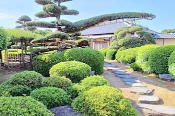 大隅俊平美術館の画像