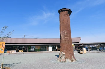 道の駅しもにたの画像