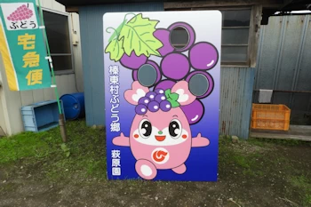 榛東村ぶどう郷の画像