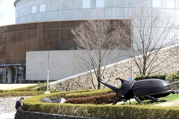 群馬県立自然史博物館の画像