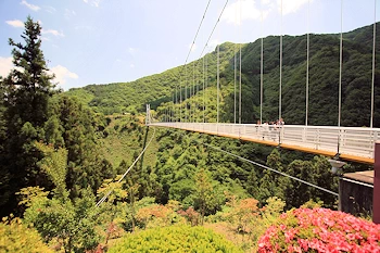 上野スカイブリッジの画像