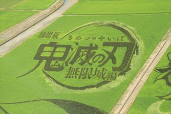 田んぼアートの風景