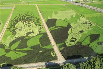 田んぼアートの風景