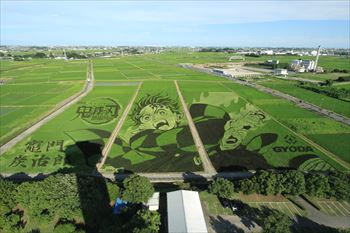 田んぼアートの風景