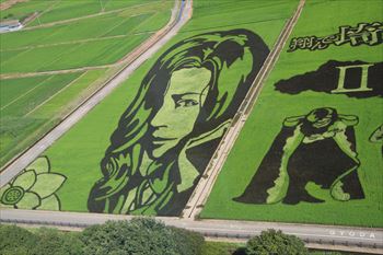 田んぼアートの風景