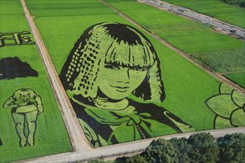田んぼアートの風景