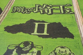 田んぼアートの風景