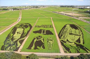 田んぼアートの風景