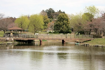 西城沼公園の画像