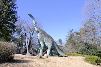 こども動物自然公園の画像