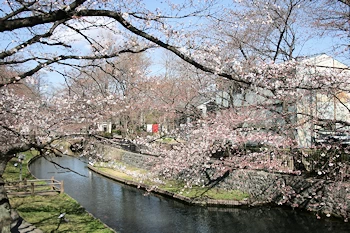 若泉公園の画像