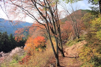 城峯公園の画像