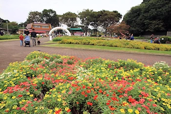 川口市立グリーンセンターの画像