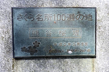 熊谷桜堤の風景