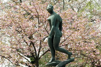 熊谷桜堤の風景