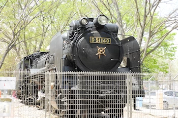 熊谷桜堤の風景