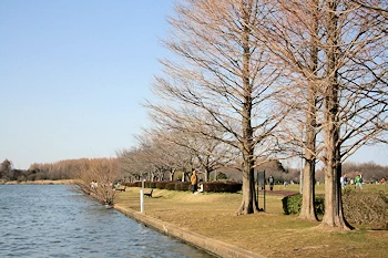 みさと公園の画像