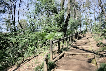 こぶしの里の画像