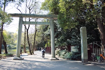 大宮公園の風景