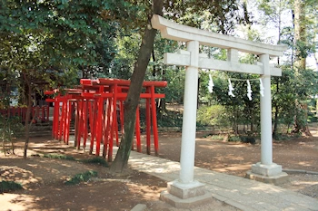 大宮公園の風景