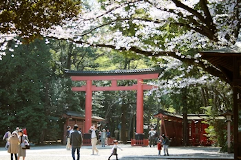 大宮公園の風景