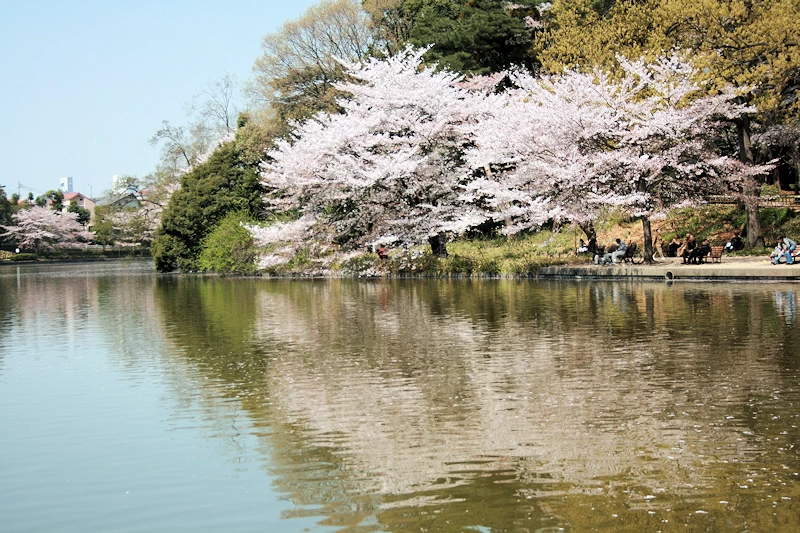 大宮公園の風景