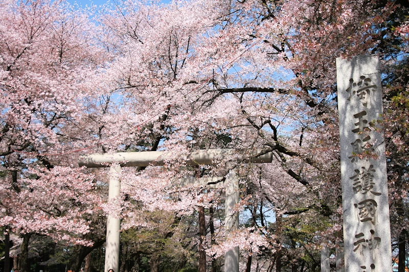 大宮公園の風景