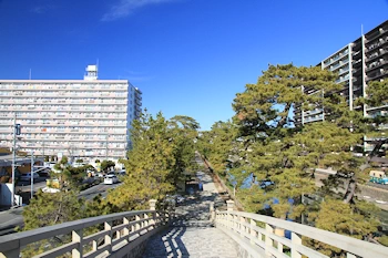 草加松原の画像