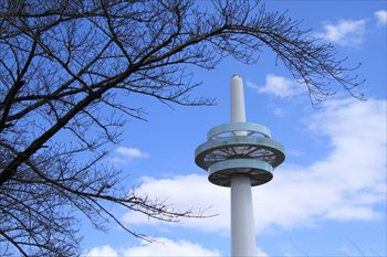 所沢航空記念公園の風景
