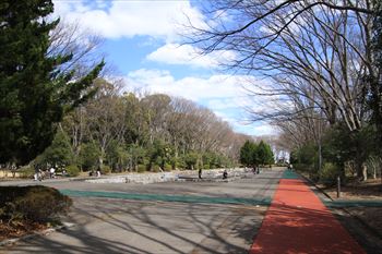 所沢航空記念公園の風景