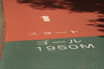 所沢航空記念公園の風景