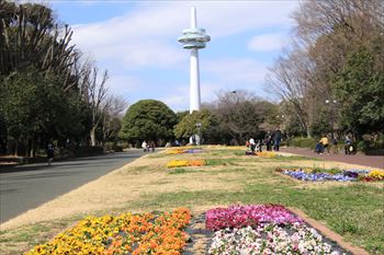 所沢航空記念公園の風景