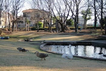 雷電池児童公園の画像