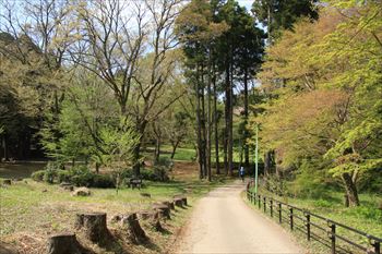 泉自然公園の風景