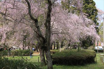 泉自然公園の風景