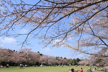 泉自然公園の風景