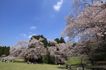 泉自然公園の風景