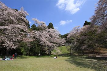 泉自然公園の風景