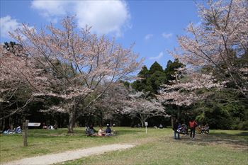 泉自然公園の風景