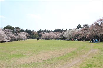 泉自然公園の風景